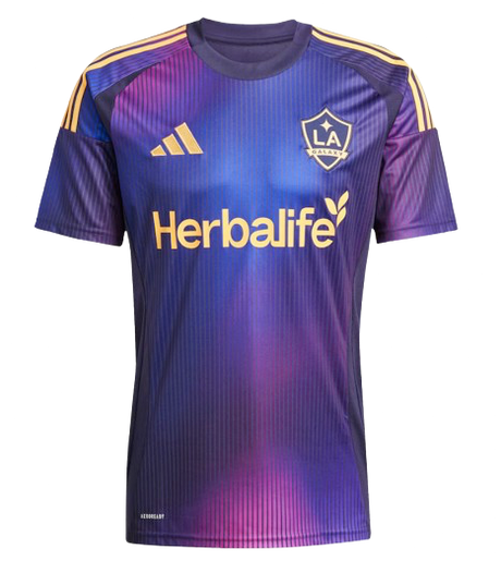Los Angeles Galaxy 2025 (Away)